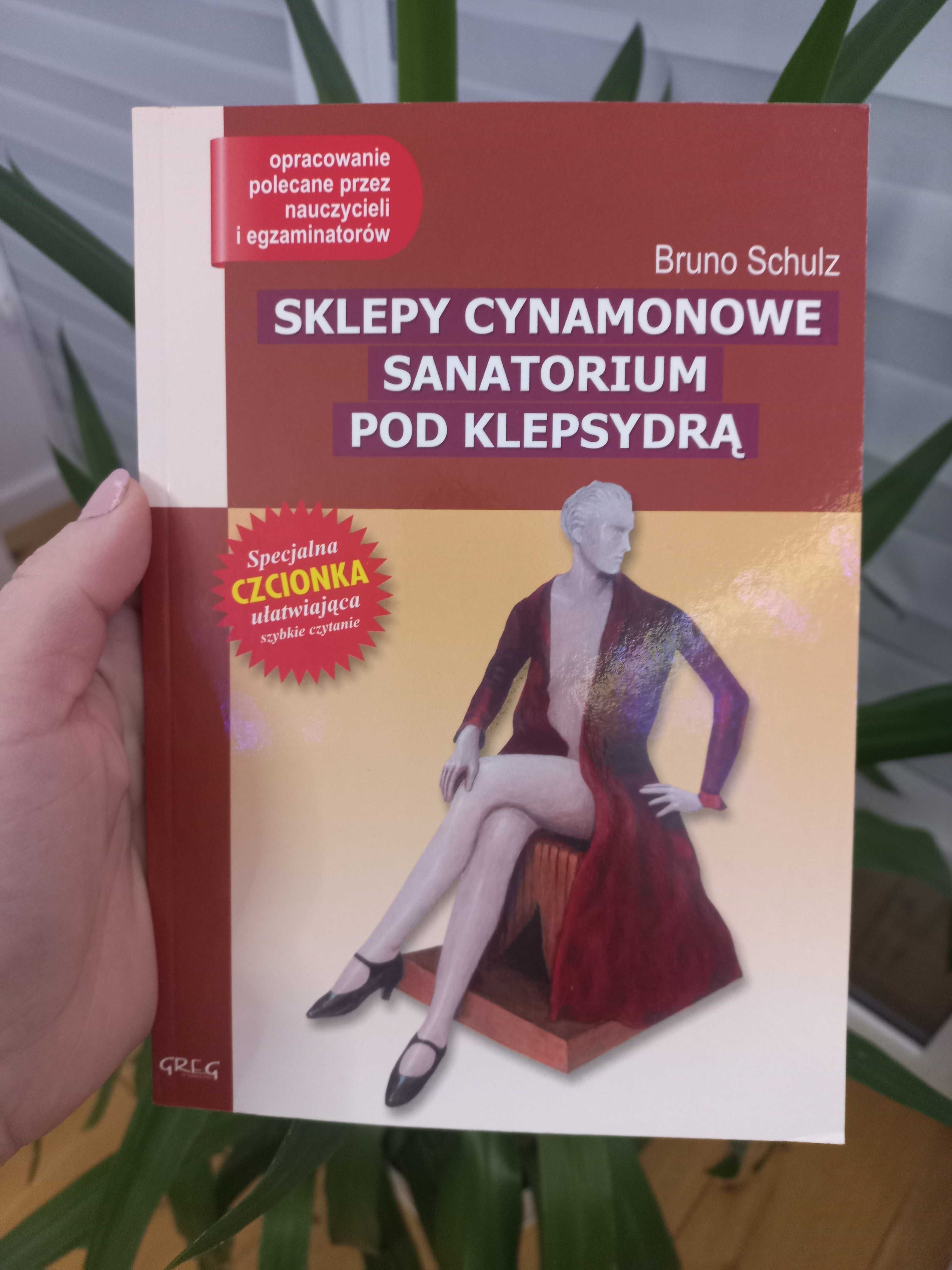 Sklepy cynamonowe Sanatorium pod klepsydrą lektura z opracowaniem