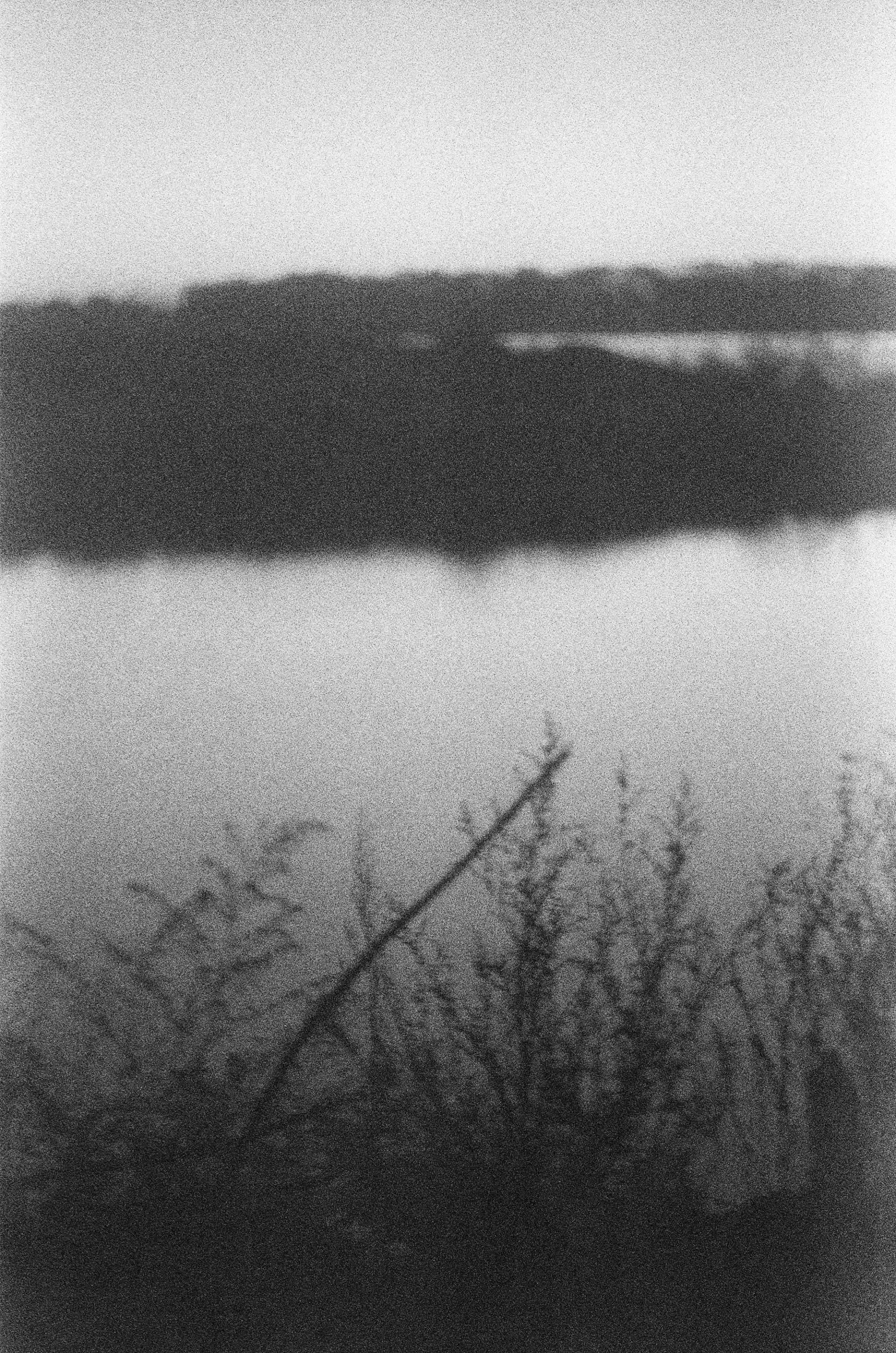 Ilford DELTA 3200 Professional (ч/б, тип 120, просрочка 2005)
