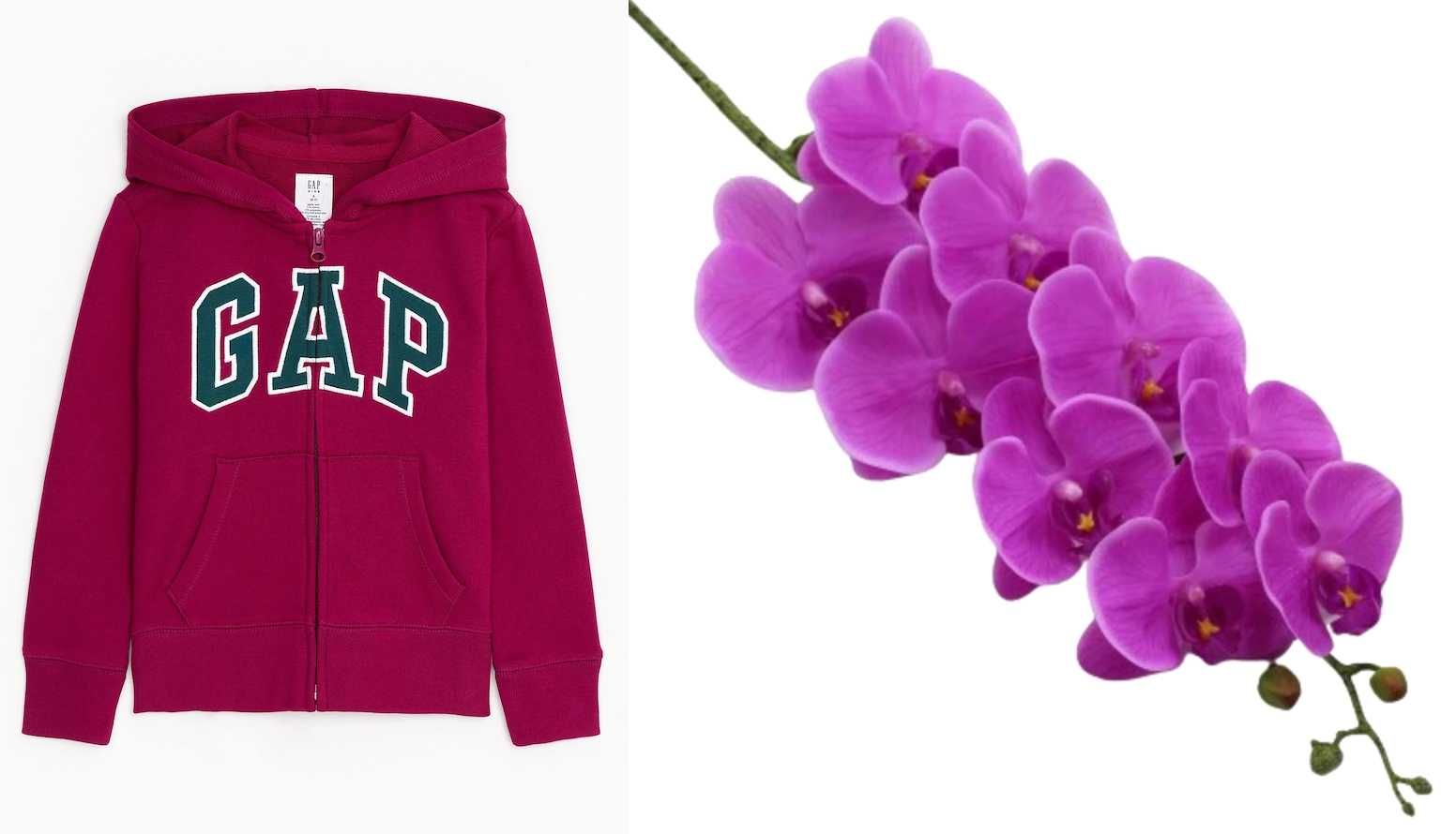 GAP nowa bluza z kapturem "kwiat orchidei" 12 13 lat 152