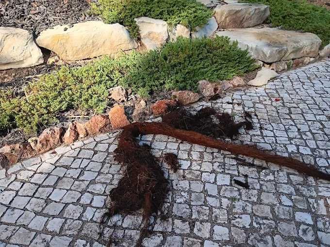 Agostinho Drains - Desentupimentos de Esgotos no Algarve 24/7