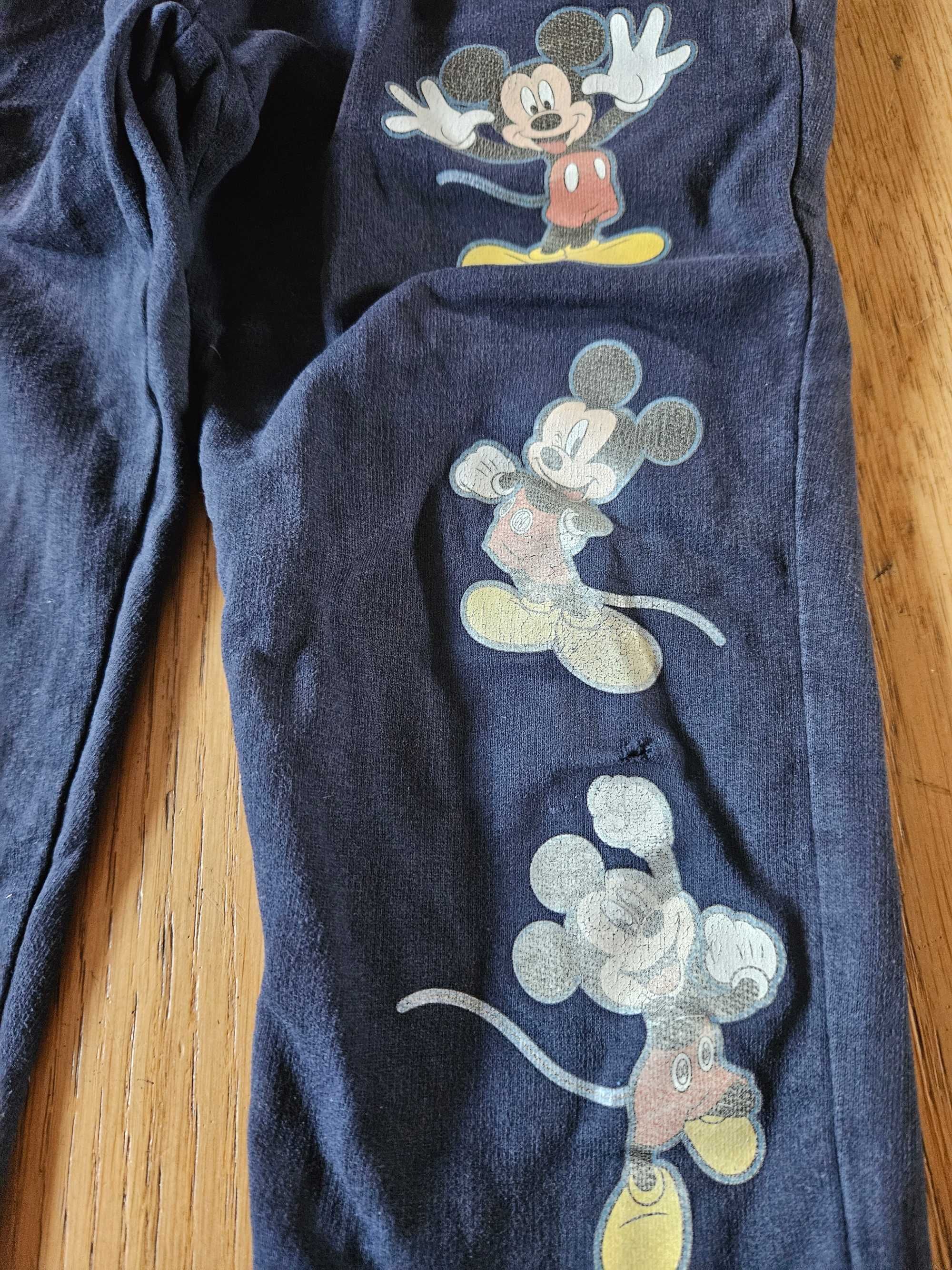 Spodnie dresowe 116 dresy Myszka Mickey miki