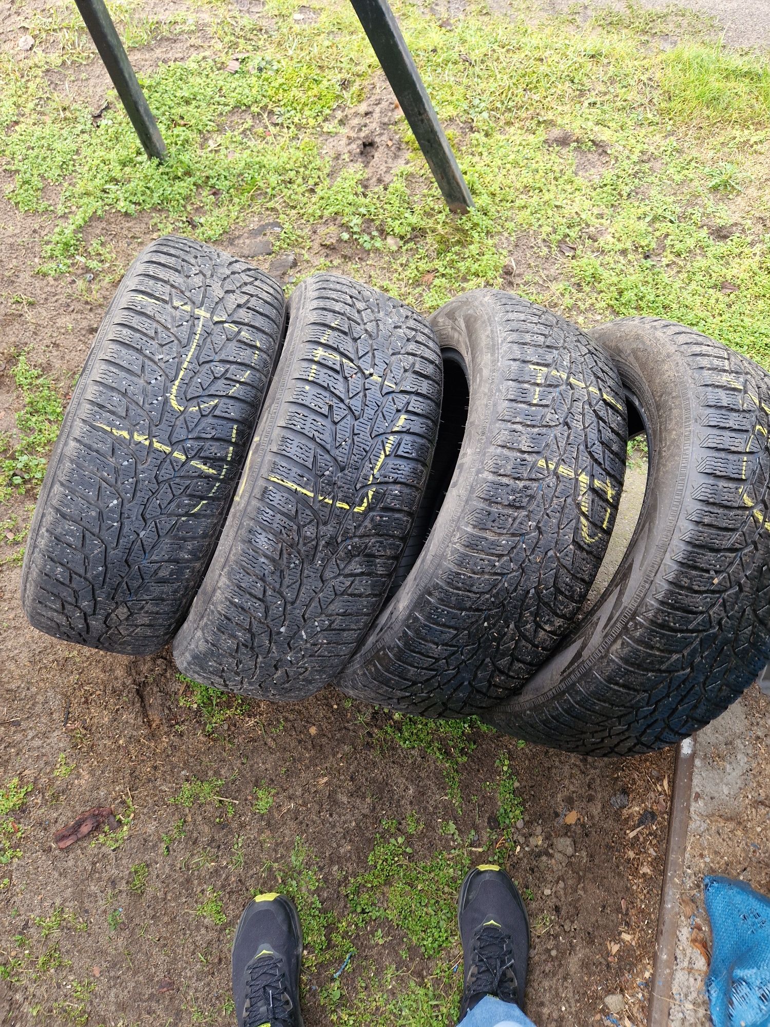 Opony Nokian WR D4 205/60R16 92 H