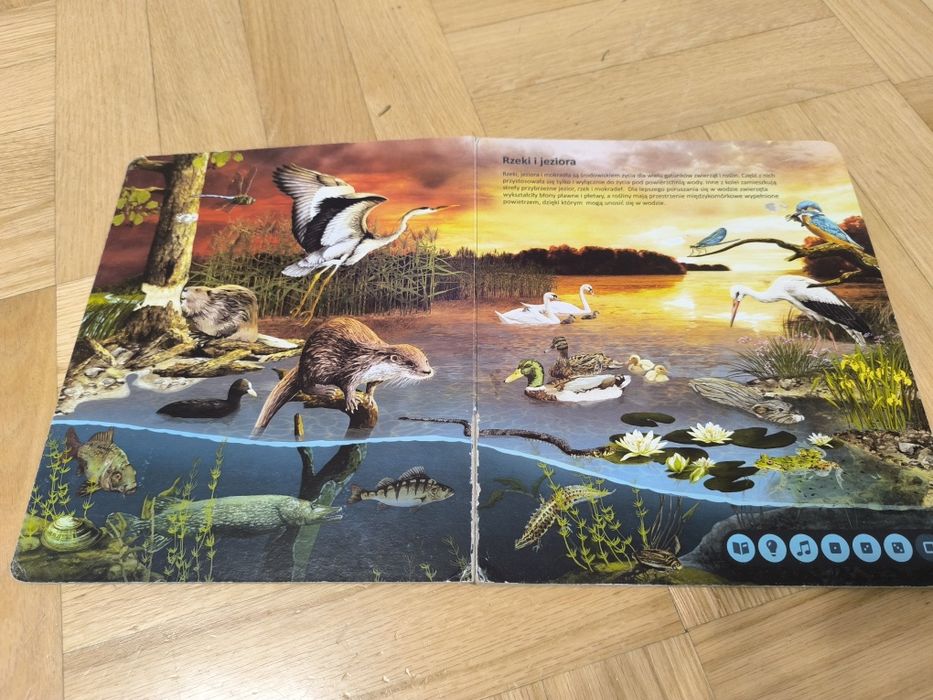 Albik Świat zwierząt