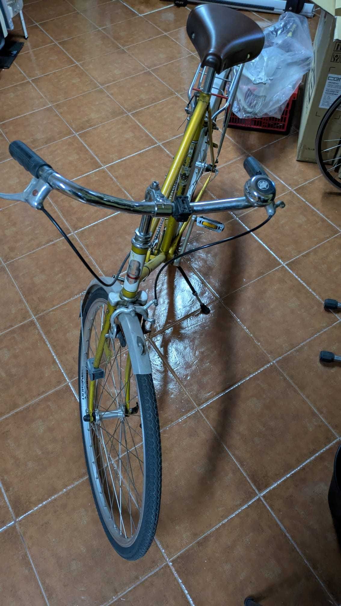 Bicicleta Pasteleira Holandesa 6x1 speed