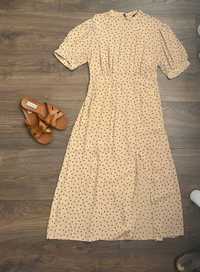 плаття. платье. сукня Massimo Dutti