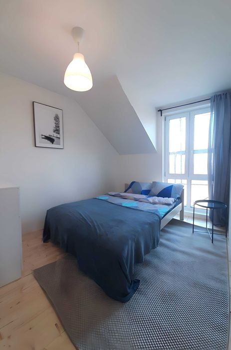 Domek letniskowy nad jeziorem Dadaj, linia brzegowa, pomost, łódki