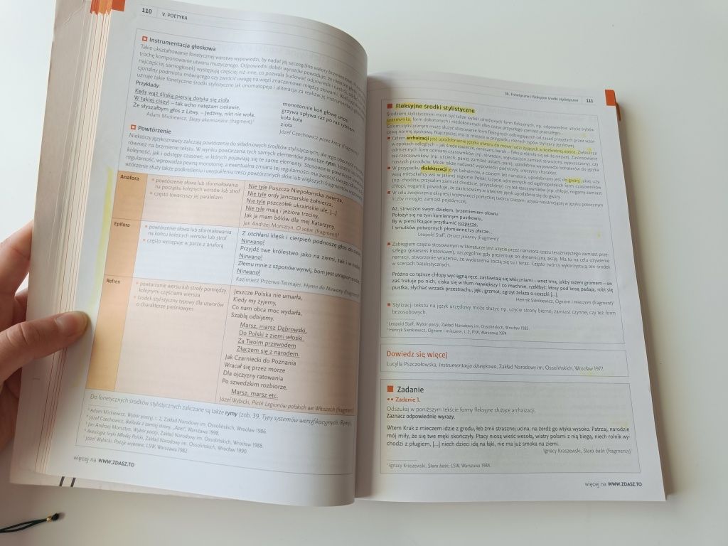 Język polski rozszerzenie repetytorium matura Zdasz to WSiP
