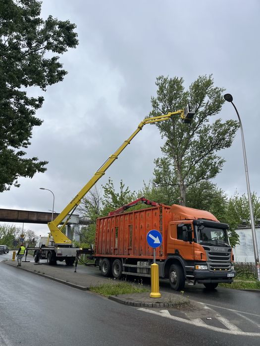 Wywoz galezi karp trawy lisci transport drewna