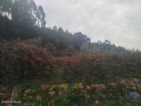 Terreno em Penacova de 885,00 m2