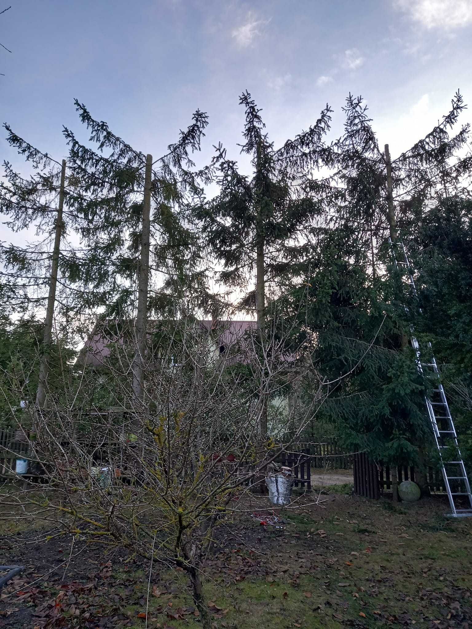 Wycinka drzew, sprzątanie działek, pielęgnacja ogrodów, alpinistyka