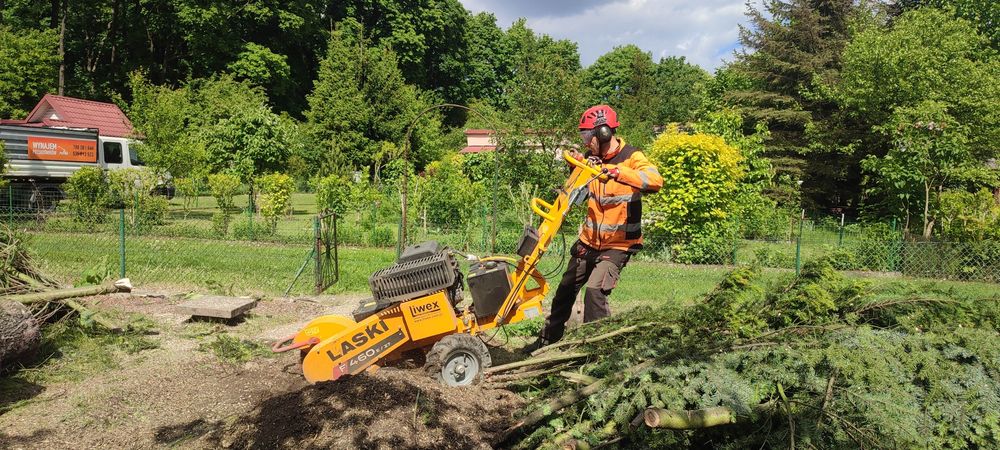 FREZARKA DO PNI, karczownik, frezowanie pni