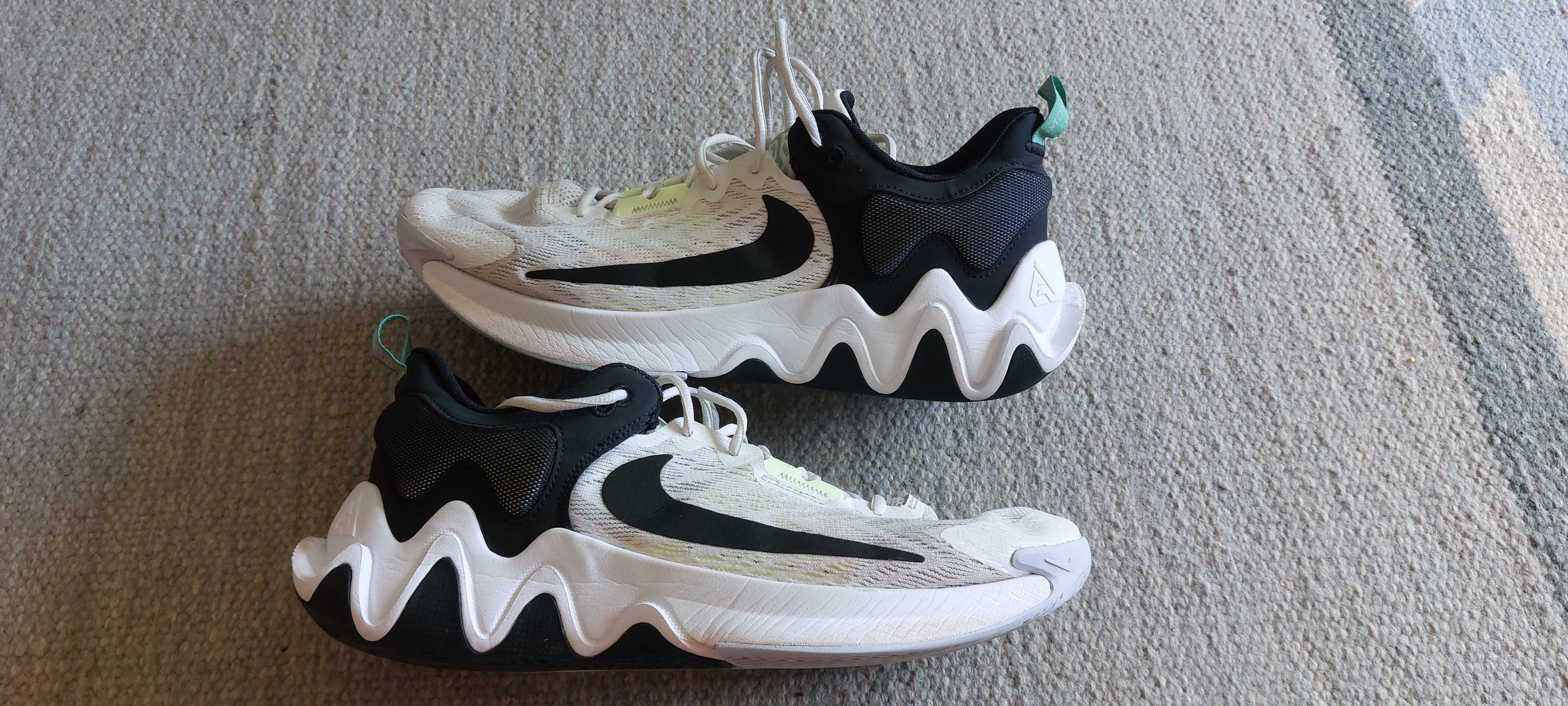 Кросівки Nike 46р (30.5см)