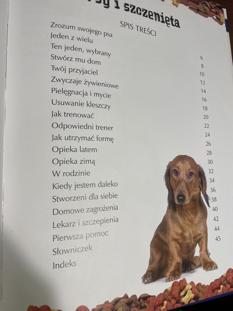 Pay i Szczenięta