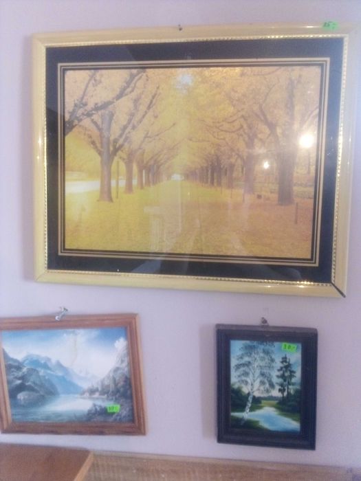 Obraz " Góry w oddali"