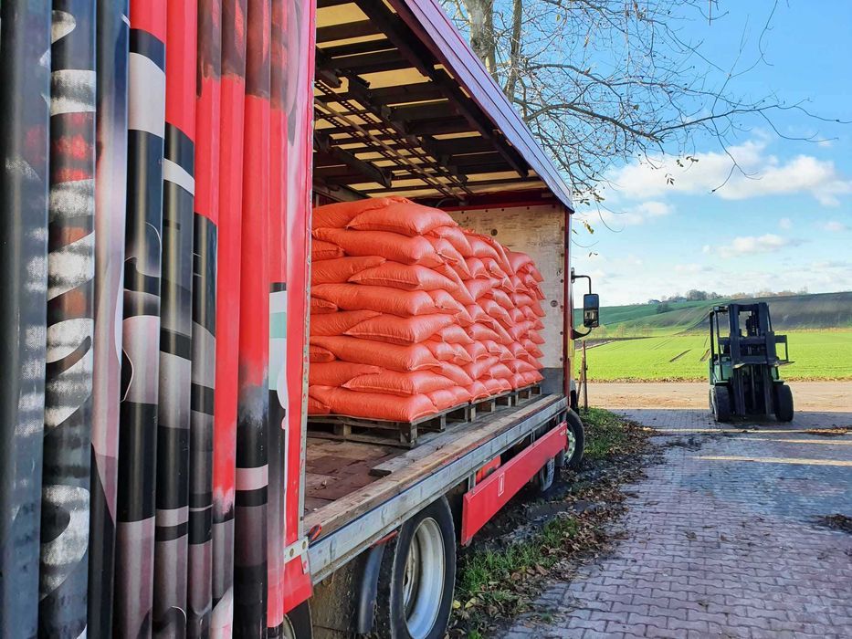 Lucerna Ziarno Nasiona Lucerny Wieloletnia Czyste Nasiona F-RA Dostawa