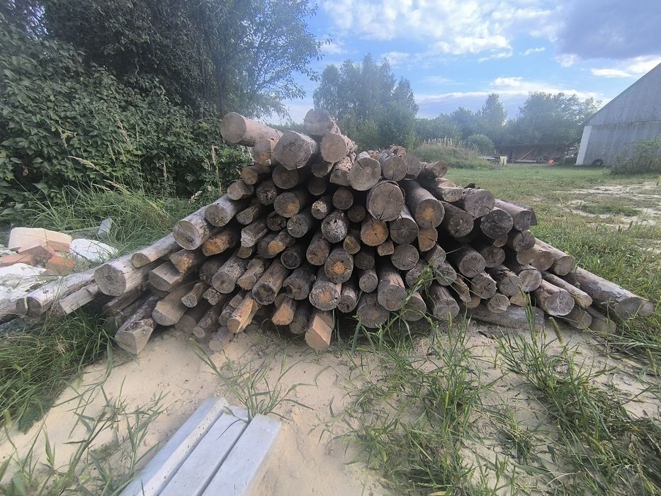 Stemple budowlane drewniane