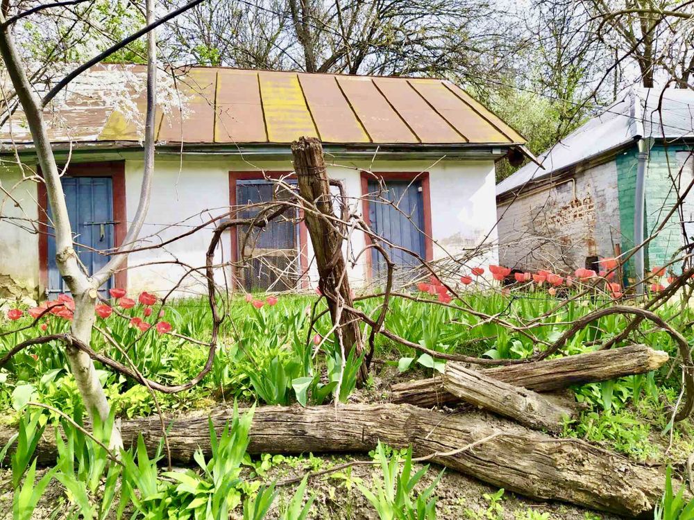 Будинок з великою земельною ділянкою у місті Богуслав Київської обл.