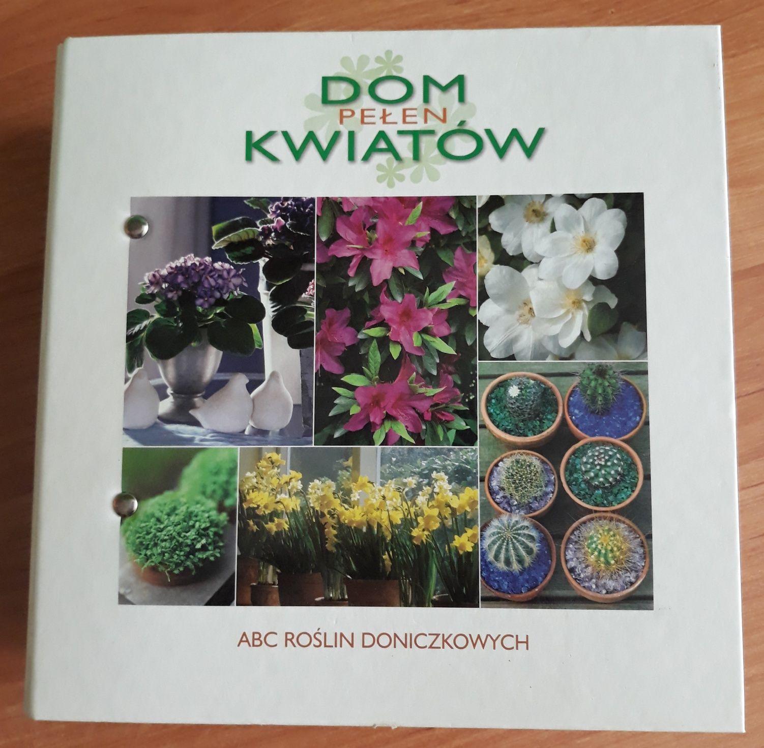 Kolekcja Dom Pełen Kwiatów ABC Roślin doniczkowych książka segregator