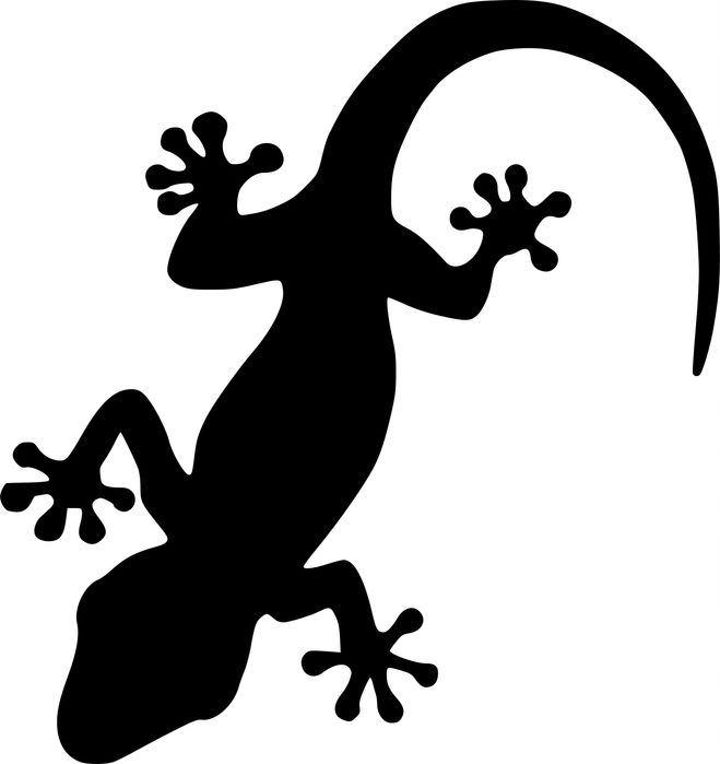 Obraz ścienny dekoracja na ścianę Jaszczurka lizard
