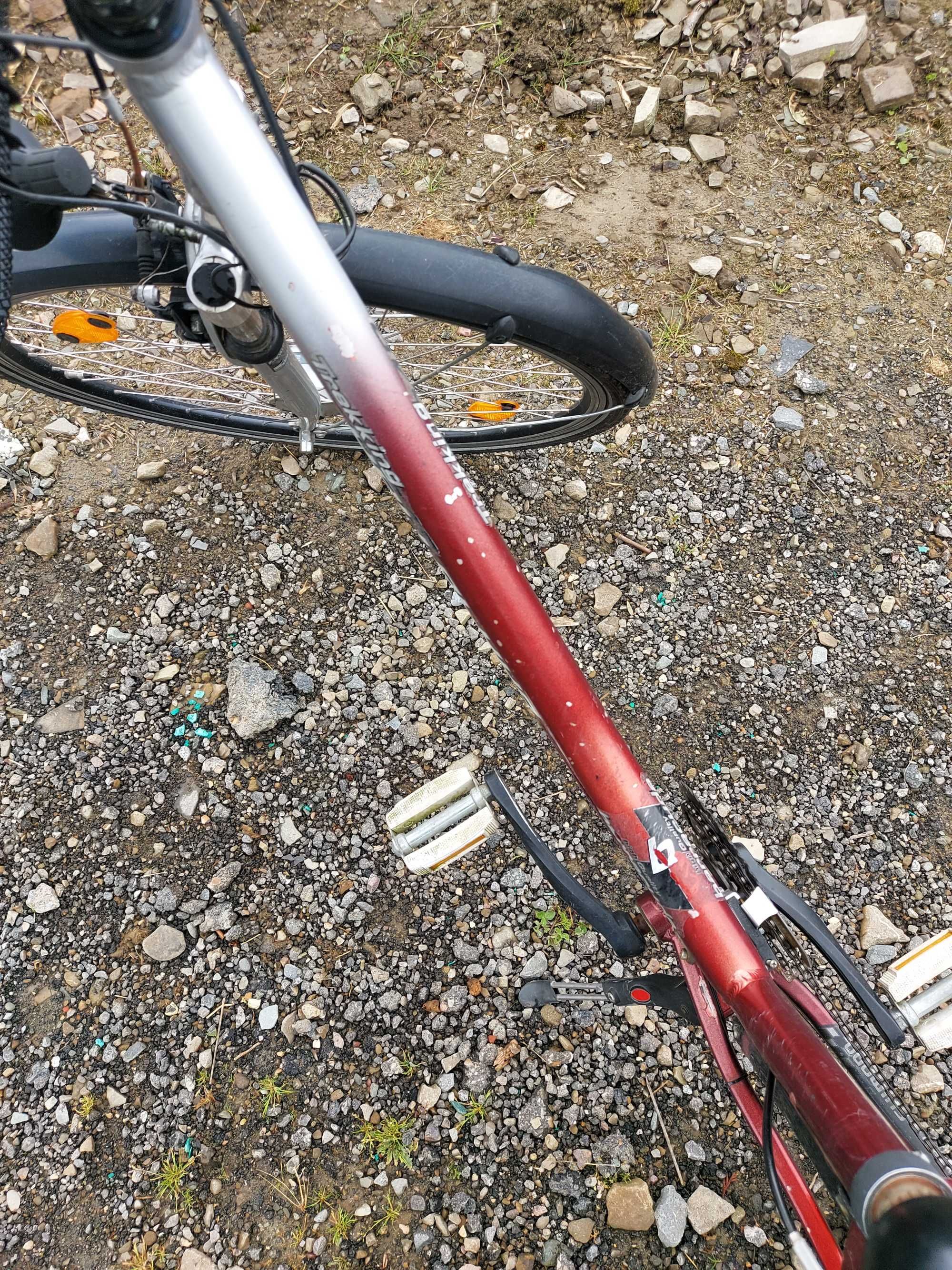 Rower Damka z koszykami