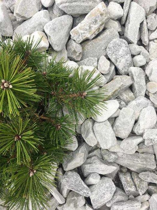 Kora kamienna ozdobna Biała, Srebna Ogrodowa,akwariowa IMPRESTONE