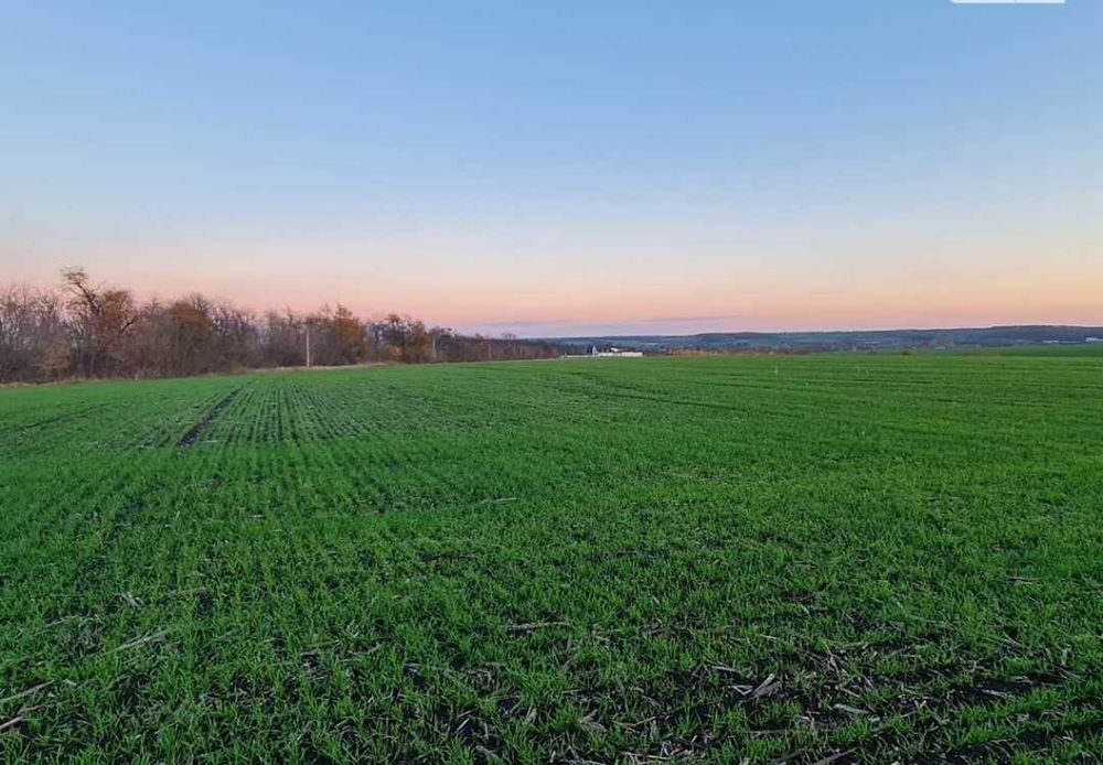Гарна земельна ділянка розташована при в'їзді в село Ружичанка