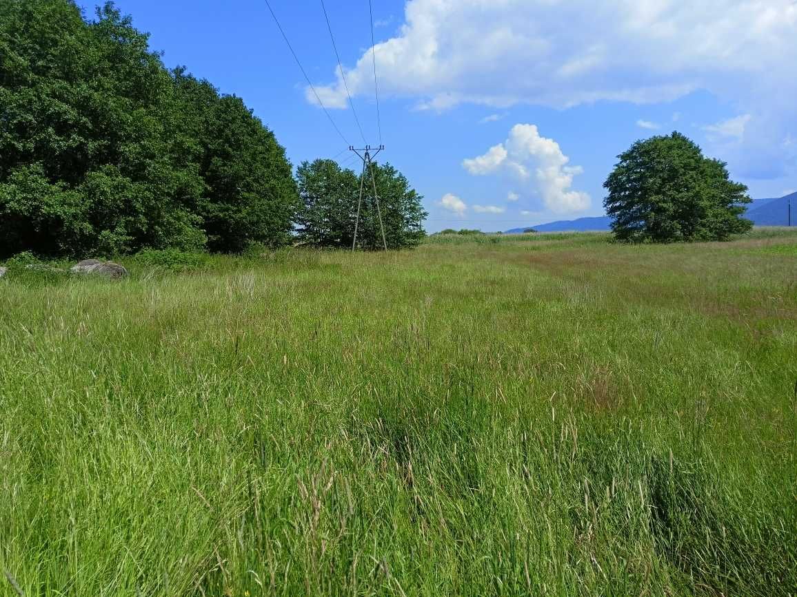 Sprzedam gospodarstwo rolne 13,6 ha(Kotlina kłodzka-Domaszków)