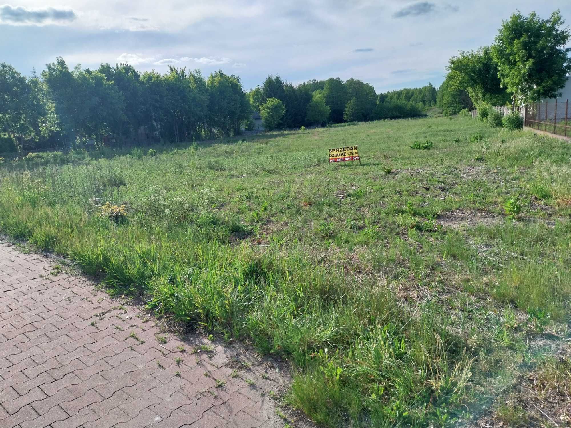 działka budowlano-inwestycyjna  1,7534  ha
