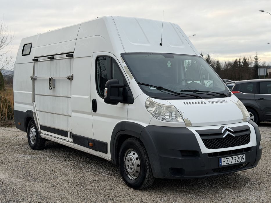 Citroen Jumper L4H3 2.2 Diesel 150KM / Koniowóz / 2013 / Klimatyzacja