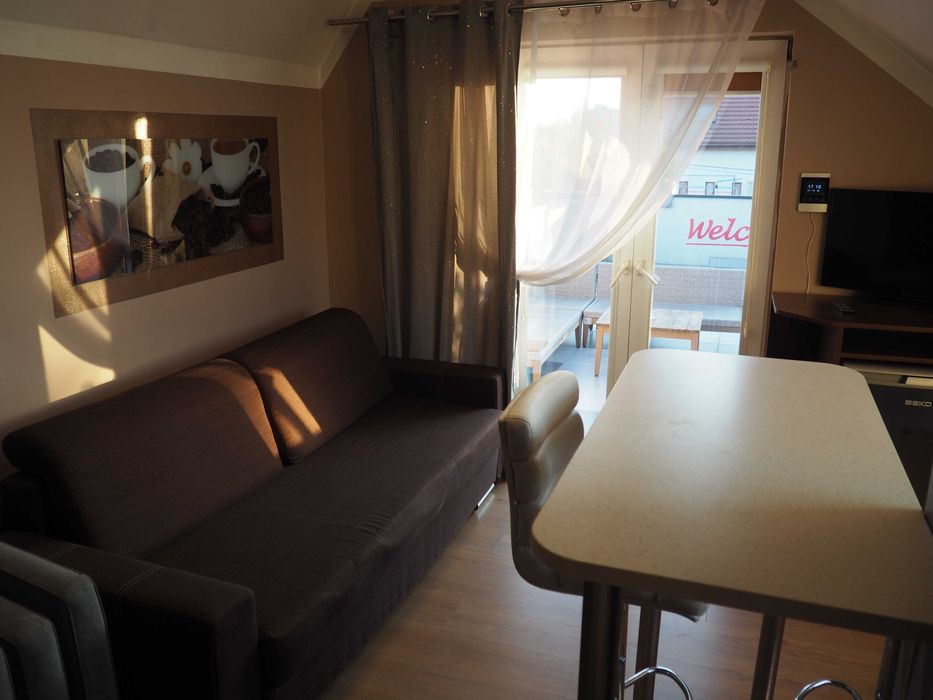 Kawalerka przy Politechnice - taras, wanna, bez czynszu. Od listopada.