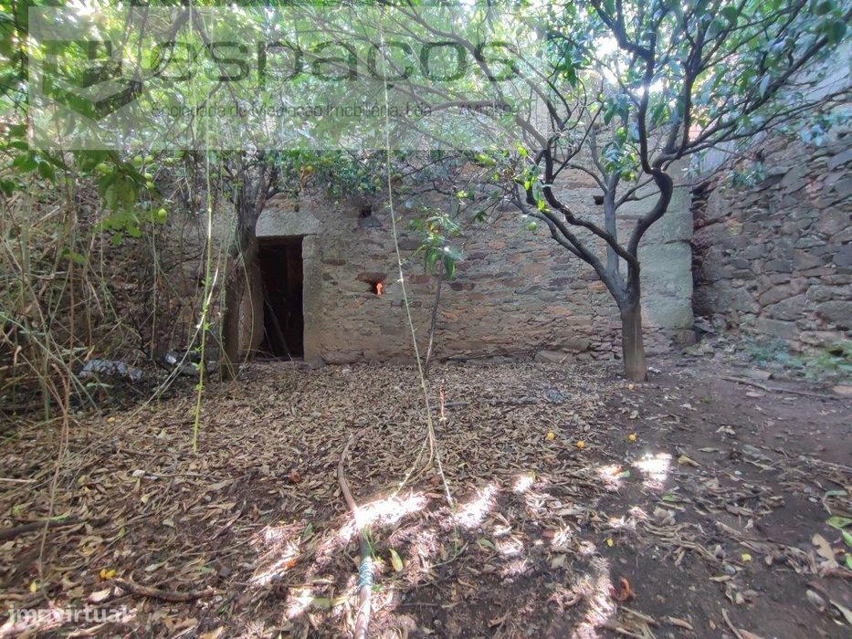 Arrumo agrícola com quintal