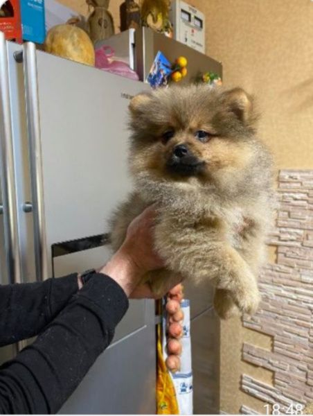 Суперовий маленький хлопчик!