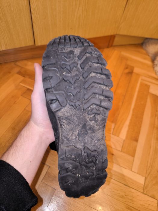 Чорні берци в прекрасному стані