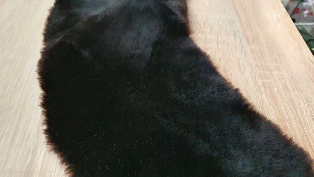 Новый воротник из цигейки