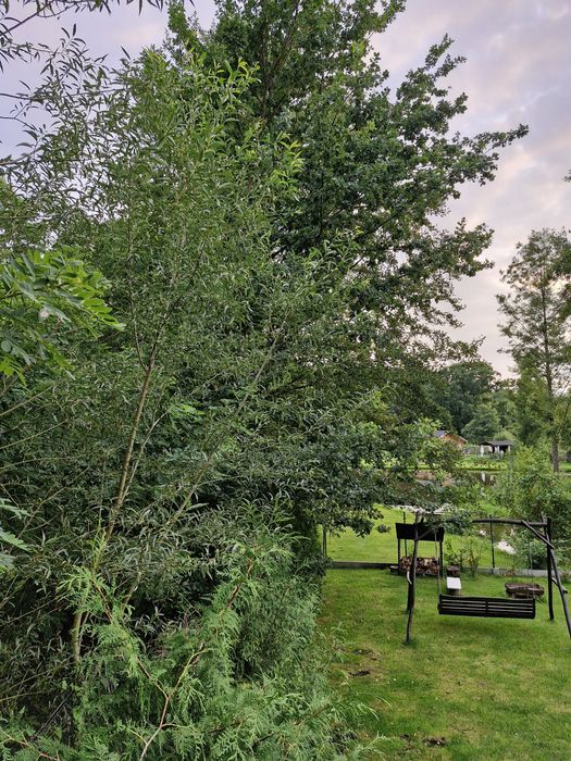 Domek drewniany całoroczny Chycina, lubuskie, super klimat!