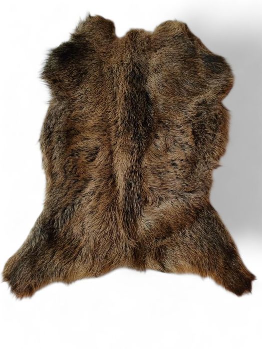 Skóra z Dzika , długie włosie, dywan z dzika