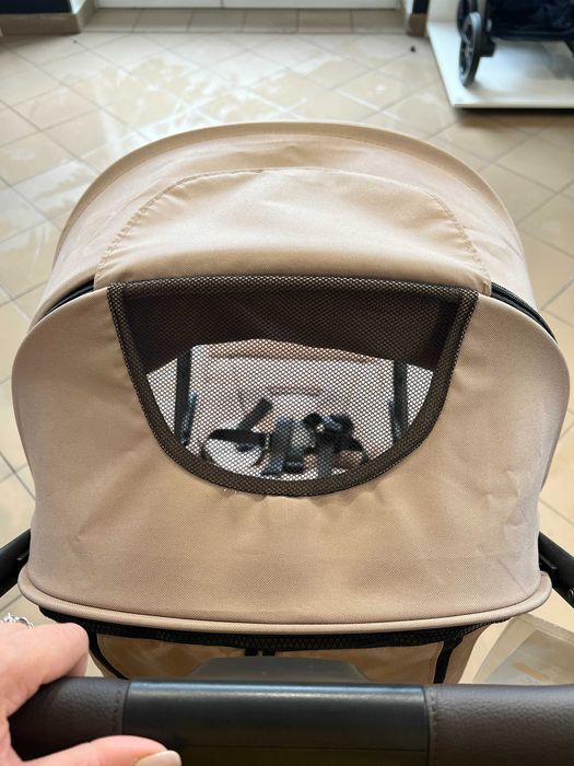 Wózek Spacerowy LIONELO Cloe Lekki Amortyzacja NOWY GWARANCJA OKAZJA