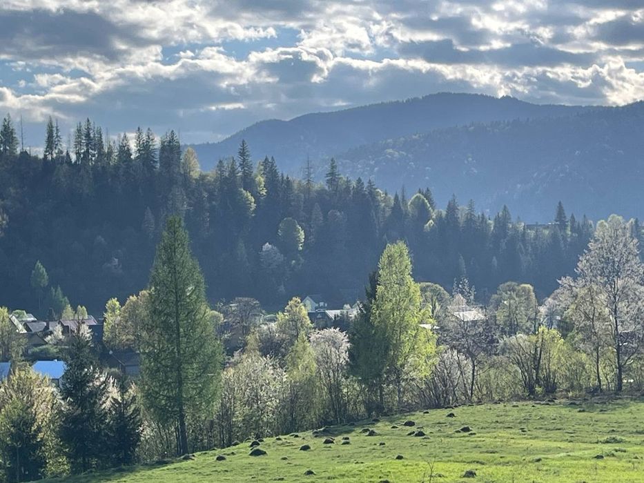 Відпочинок в Карпатах  котедж