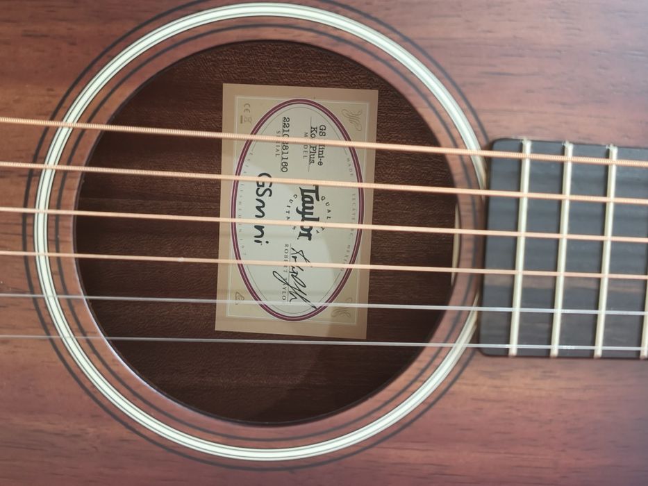 Taylor GS mini-e Koa Plus Shaded Edgeburst