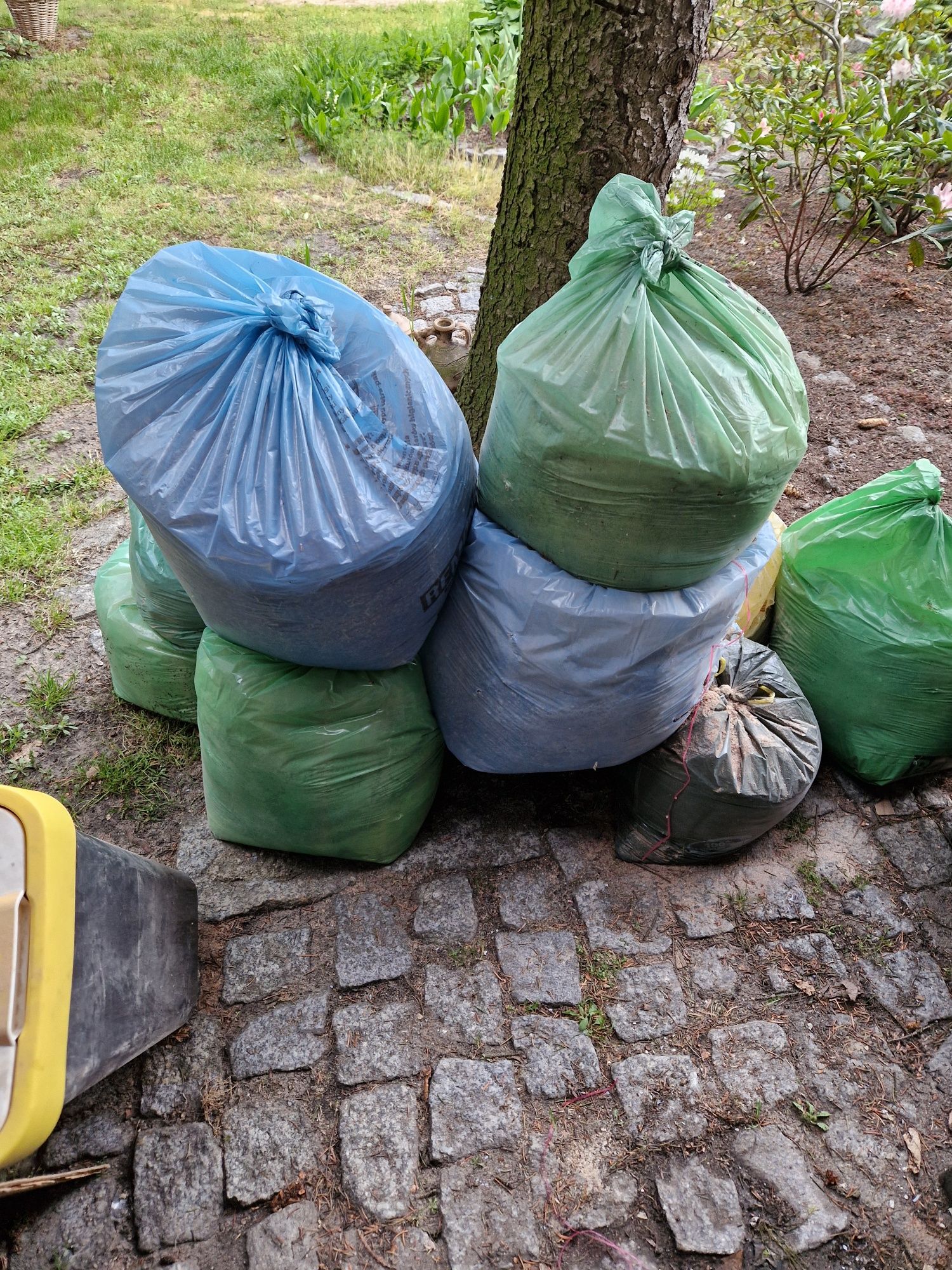Wióry z drewna odda . Różne, tylko calosc