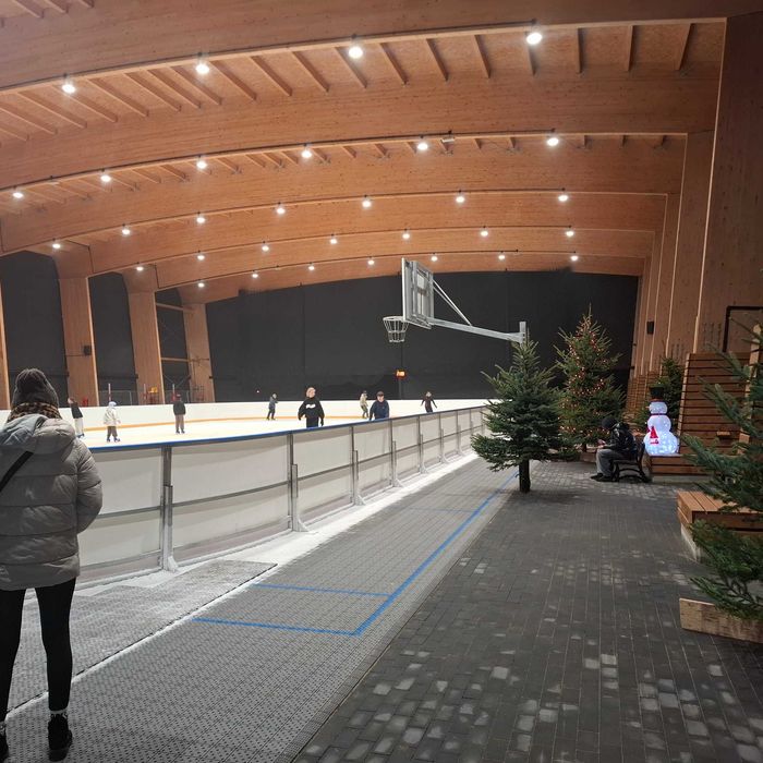 Domki -ferie w Stegnie z LODOWISKIEM