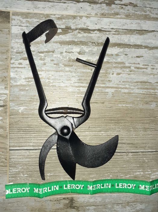 Tesoura de árvores Antiga uvas