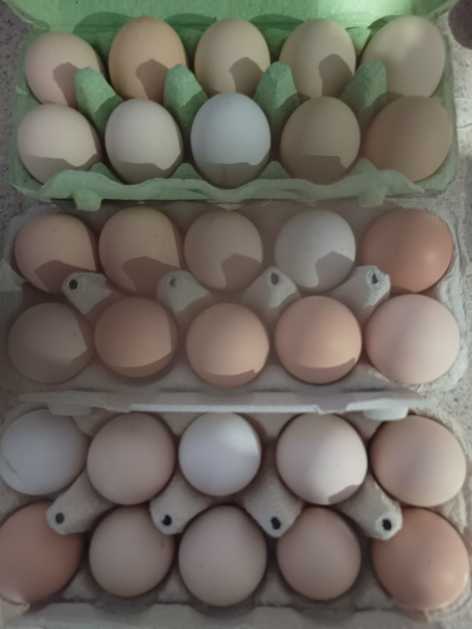 Jajka jaja wiejskie