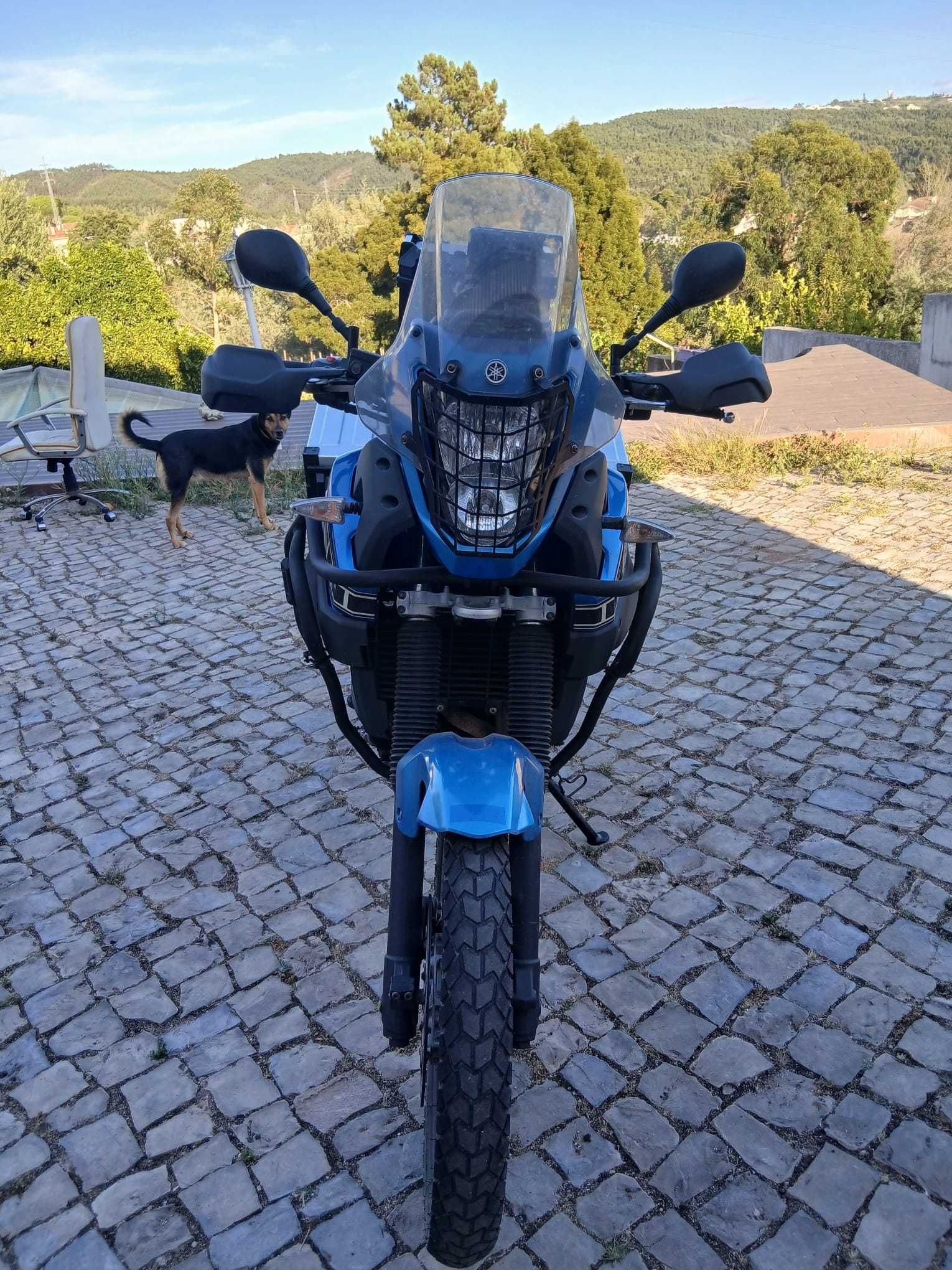 Yamaha Teneré 2009