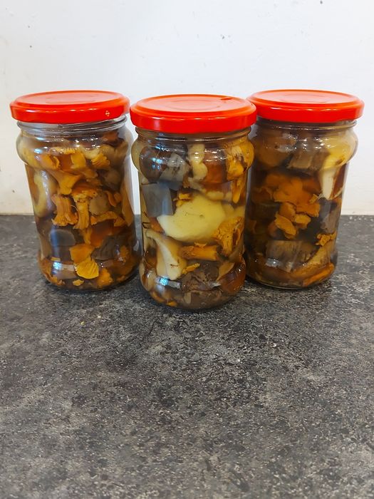 10x315 ml grzyby mieszane marynowane borowiki kurki podgrzybki