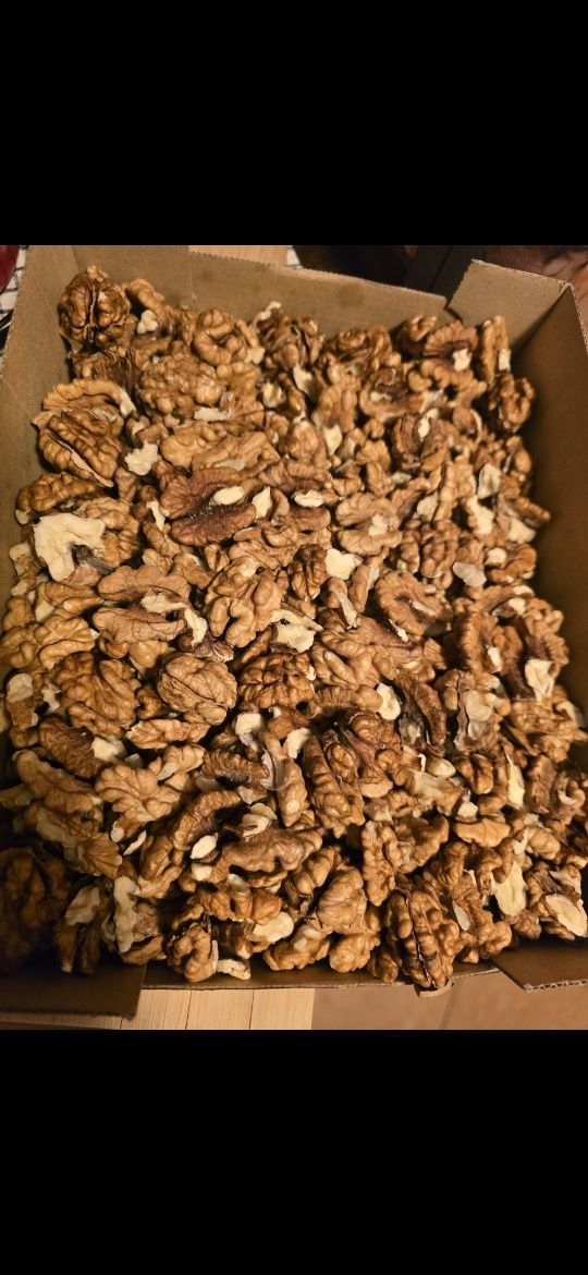 Orzechy włoskie w łupinie 6kg