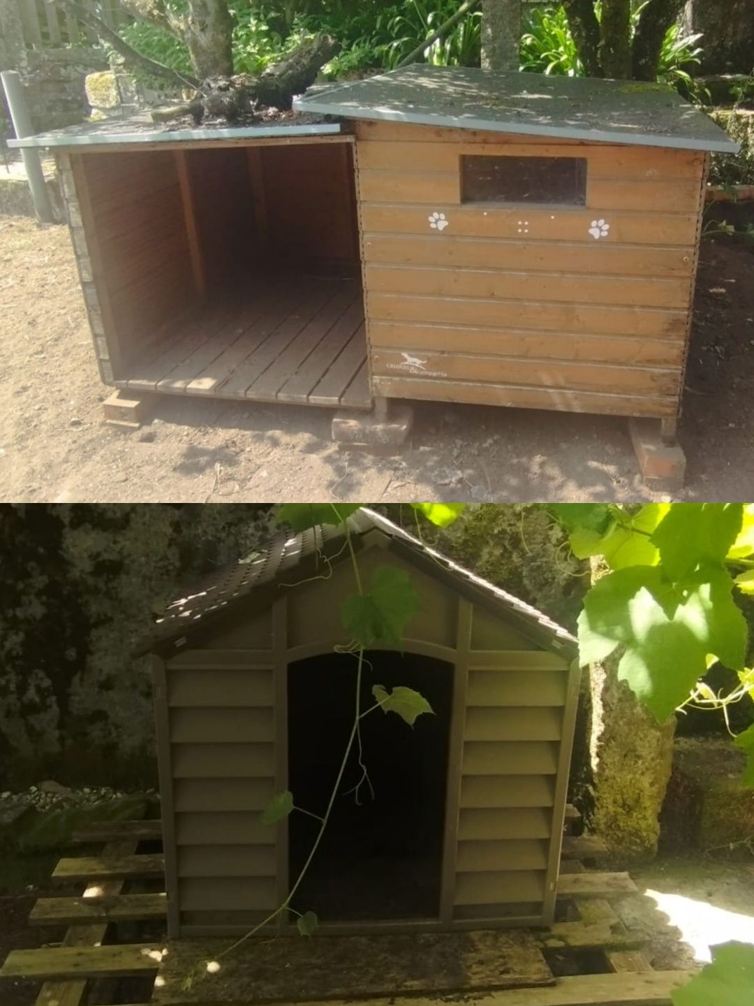 Casotas para cães XL