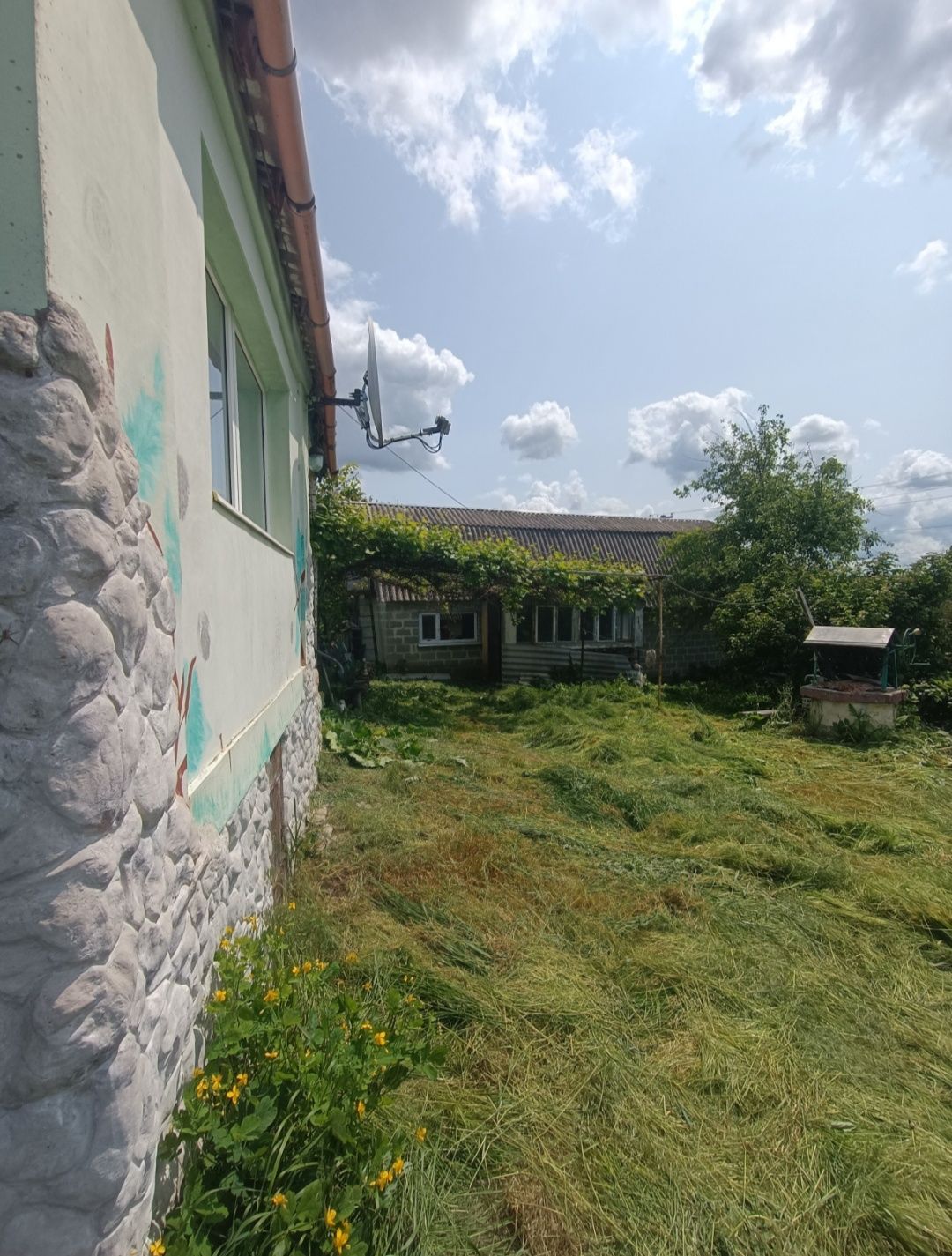 Продам будинок в с. Дмитренки, Київської  області