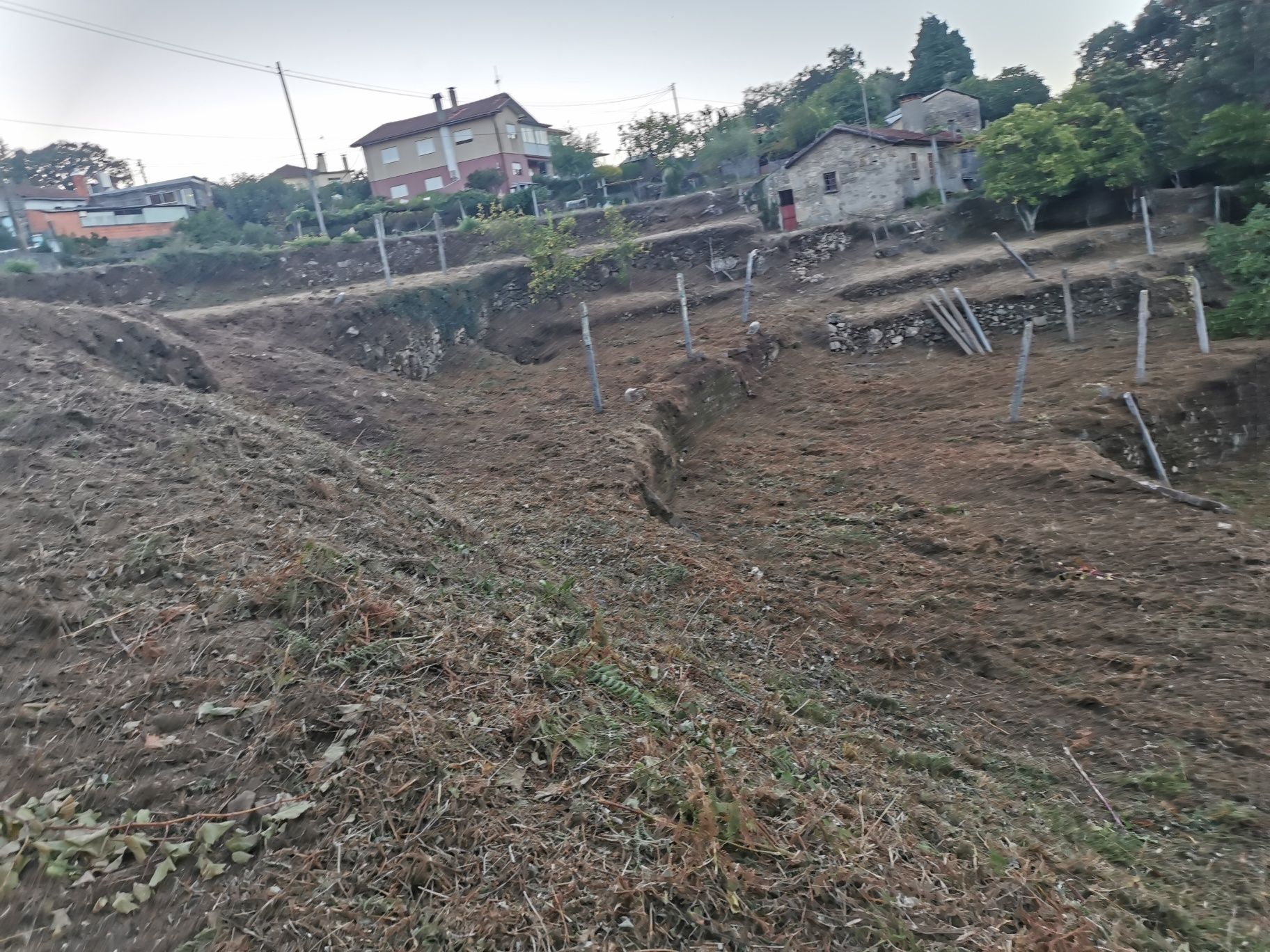 Terreno Quinta Vale Cambra Costa Anelha 0,5HA