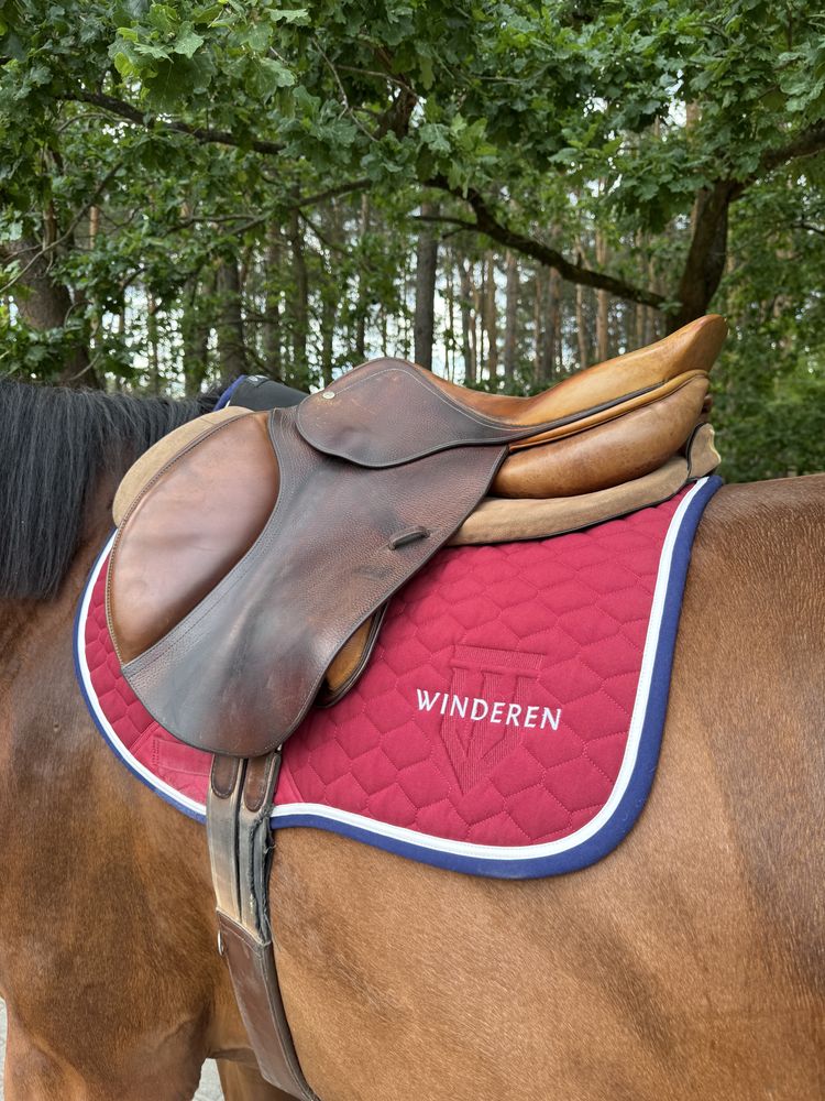 CWD SE02 17 cali siodło skokowe  , stan bardzo dobry Mega cena